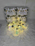 10L Star Fancy Bulb Big (YG-SR)