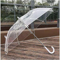 Transparent Umbrella (Imported)