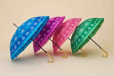 Premium Golden Handle Umbrella (Imported)