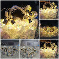 10 LED Mini Sparkle Bulb (YG-SS)