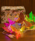 Decorative Fancy RGB Butterfly LED (OBL)