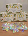Decorative Fancy RGB Shining Star LED (BST)
