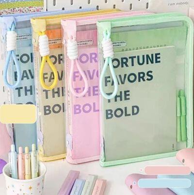 TRANSPARENT DOCUMENT HOLDER WITH CLIP