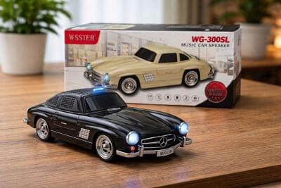 WS-300SL Premium Car Bluetooth Speaker (Imported)