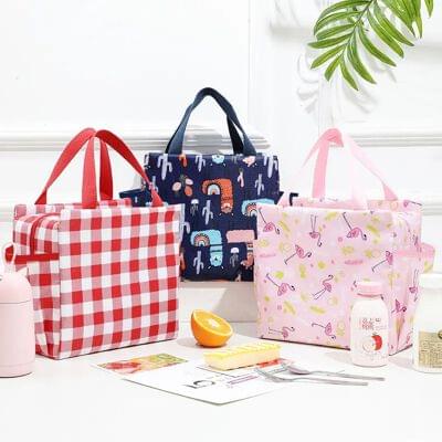 3041 Big Printed Insulated Lunch Bag (Imported)