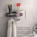 3166 Wall Mounted Toothbrush & Multi Use Shelf